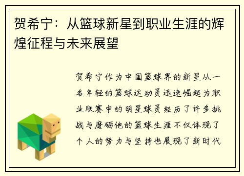 贺希宁：从篮球新星到职业生涯的辉煌征程与未来展望