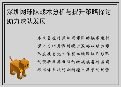 深圳网球队战术分析与提升策略探讨助力球队发展